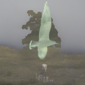 印度丰满美女BBw
