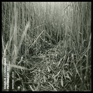 印度丰满美女BBw
