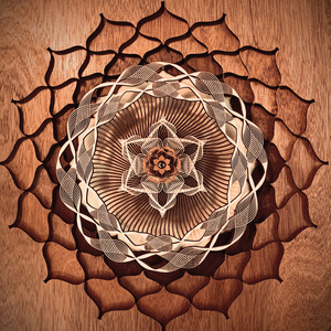 印度丰满美女BBw
